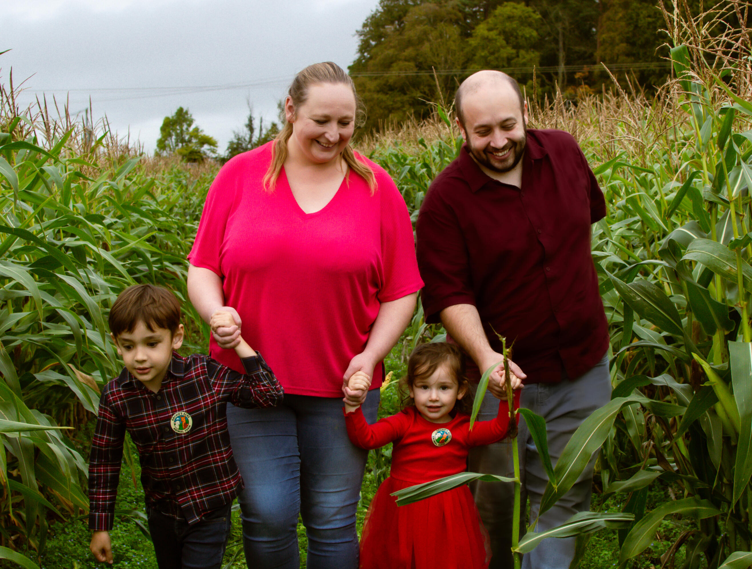 Newborn photographer Kildare